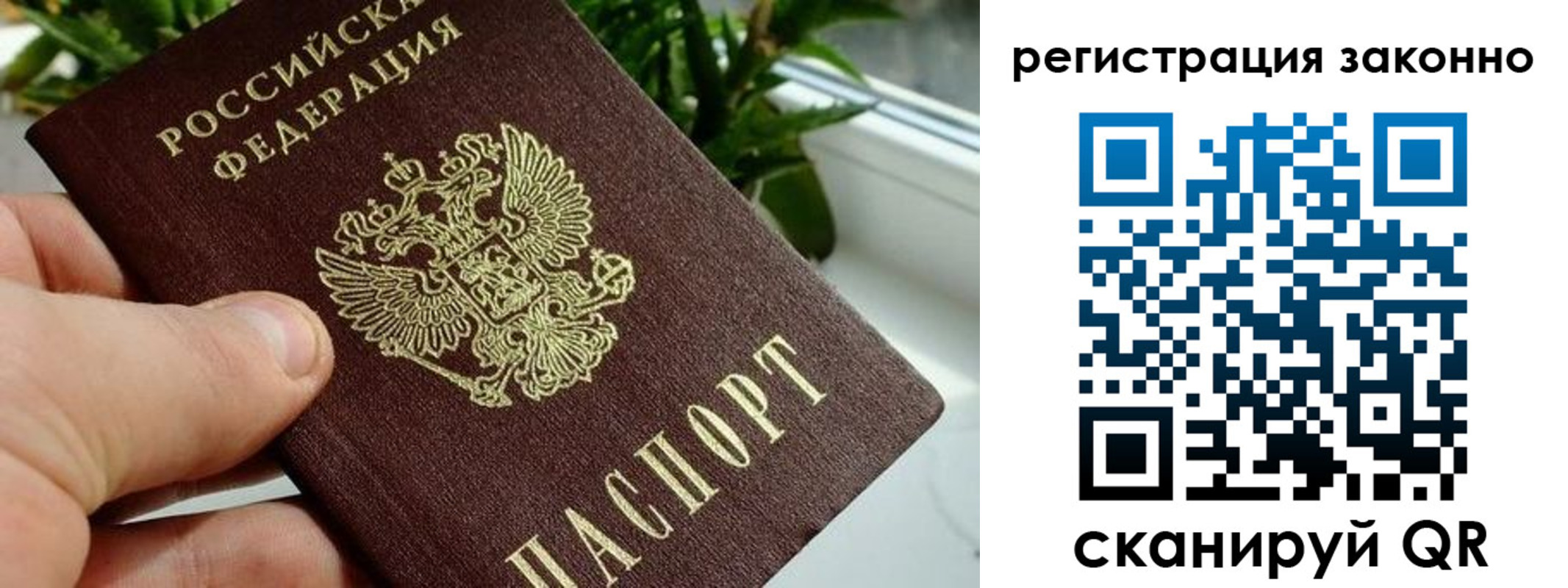 прописка гарантия в Волчанске